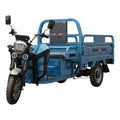 Electric Freight Tricycle 3 Wheel Motorcycle 1000W Motor 400kg Payload Steel Frame 2 Passengers Long-distance Travel China
