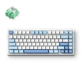 MCHOSE G75 Pro Wireless Mechanical Keyboard 75% Layout Gasket Mounted 5 Layers Dampening RGB Backlit Tri-Mode Hot Swappable