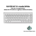 Akko RAY68 HE Mechanical Keyboard 65% Magnetic Switch Rapid Trigger 0.01mm 8K RGB with Lightbox Custom ESports Gaming Keybaord
