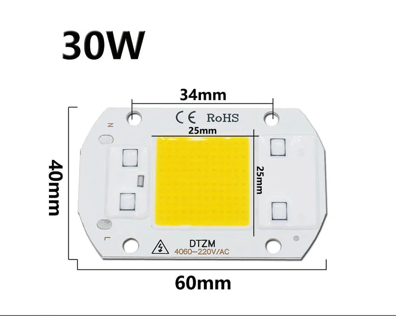 10W 20W 30W 50W AC220V  LED COB chip Engine Smart IC Chips For DIY LED Floodlight Spotlight Lamp