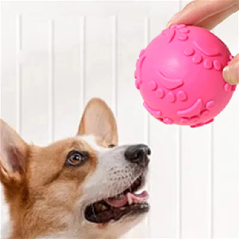 Dogs Interactive Toys Soft TPR Toys for Dog Pet Teeth Cleaning Bite Resistance Squeaky Dog Ball Toy
