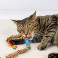 2pcsToy That Attracts Cats To Play - A Natural Cat Toy Made of Rope, Used for Chewing and Dental Care