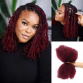QVR Afro Kinky Bulk Hair No Attachment 50g Afro Curly Bulk 100% Human Hair Unprocessed Virgin Remy Braiding Hair for Dreadlocks