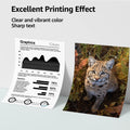 4Pack Compatible 910XL Ink Cartridges Black/Tir-Color - Visuel 5 | SAMAG