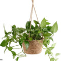 Garden Hanging Planter Macrame Plant Storage Basket Jute Rope Woven Indoor Outdoor Flower Pot Holder Plant Hangers Home Decor