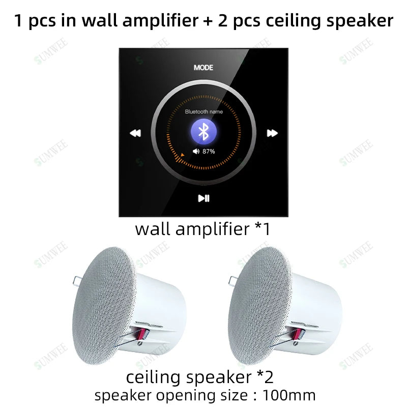 Home Audio Background music player system Bluetooths sound in wall amplifier TF USB FM control panel with stereo ceiling speaker