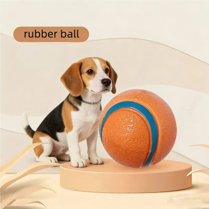 Bite Resistant Solid Elastic Dog Toy Ball Jumping Interactive Fetch Ball Durable Puppy Chew Pet Accessories For All Size Dogs