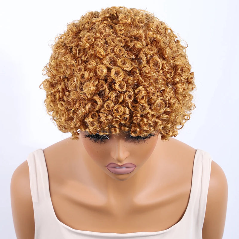 Lekker Black Short Pixie Cut Curly Bob 100% Human Hair Wigs For Women Brazilian Remy Hair Full Machine Made Glueless Daily Wigs