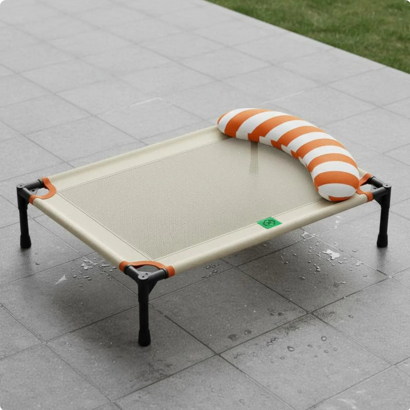 Elevated Dog Bed Moisture-Resistant Raised Pet Cot Dog Camping Bed Scuff-Resistant Resistant All-Season Use for Animals, Indoor