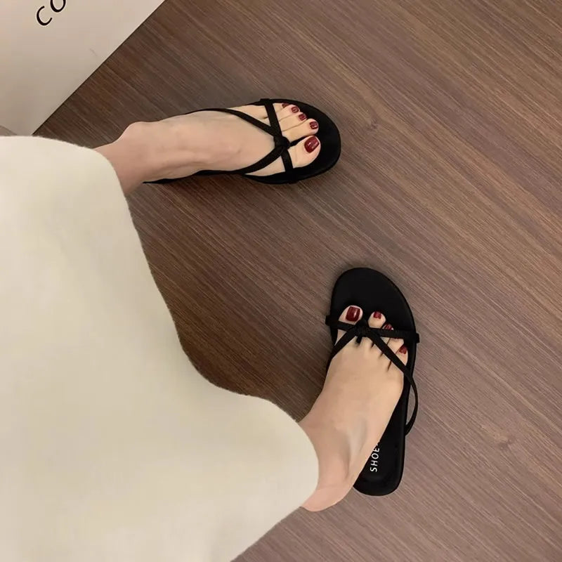 Summer Women Fashion Slippers Female Casual Clip Toe Wedges Heel Dress Slides Ladies Outdoor Beach Vacation Sandalias Shoes