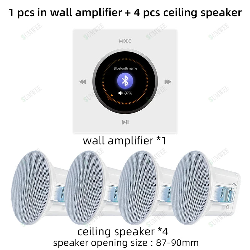 Bluetooths in Wall Amplifier Mini Stereo Home Theater Sound Systems Audio FM Radio AUX Hotel Power Amplificador Ceiling Speakers