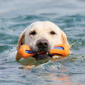 Dog Water-Lok Stick Interactive Swimming Toy Bite Resistant Floats Chewable Pet Aquatic Activity Fun Training Play