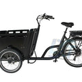 250 Watt 3 Wheel Electric Cargo Bike Mid Motor Electric Tricycles 3 Wheel electric cargo bike for Family