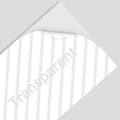 TZe-231 12mm Label Tape Compatible Brother TZe Tape TZe231 Tze131 Tze-631 Tze-531 for Brother Marker PTD450 PT-H110 Label Maker