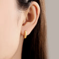Original S925 Sterling Silver Zircon 18K Gold Lining Vintage Hoop Earrings for Women Birthday Party - Visuel 4 | SAMAG