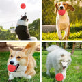 Indestructible Dog Chew Toy Solid Rubber Bouncy Ball for Teeth Grinding Interactive Outdoor Throwing & Fetch Training Pet Ball