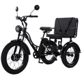 Fat Tire Electric Tricycle Adults With Passengers Powerful 48V 750W Family Electric Bicycle Removable Battery With Safe Belt