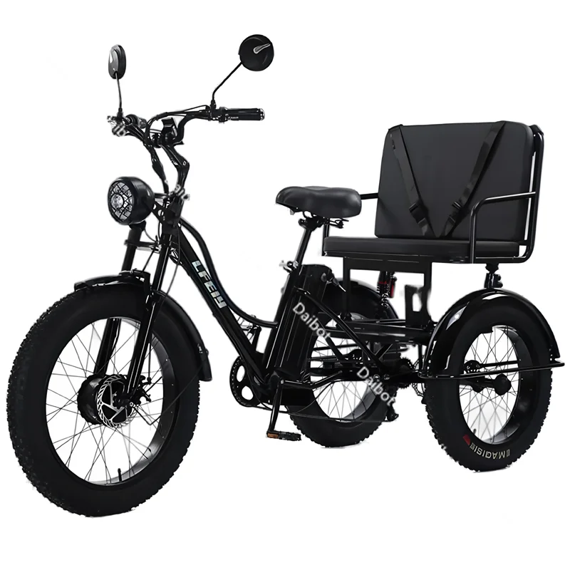 Fat Tire Electric Tricycle Adults With Passengers Powerful 48V 750W Family Electric Bicycle Removable Battery With Safe Belt