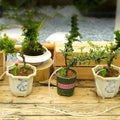 Garden Regulating Drip Irrigation Kit Automatic Watering Device 4/7mm Hose Potted Plants Watering Saving Micro Dripper