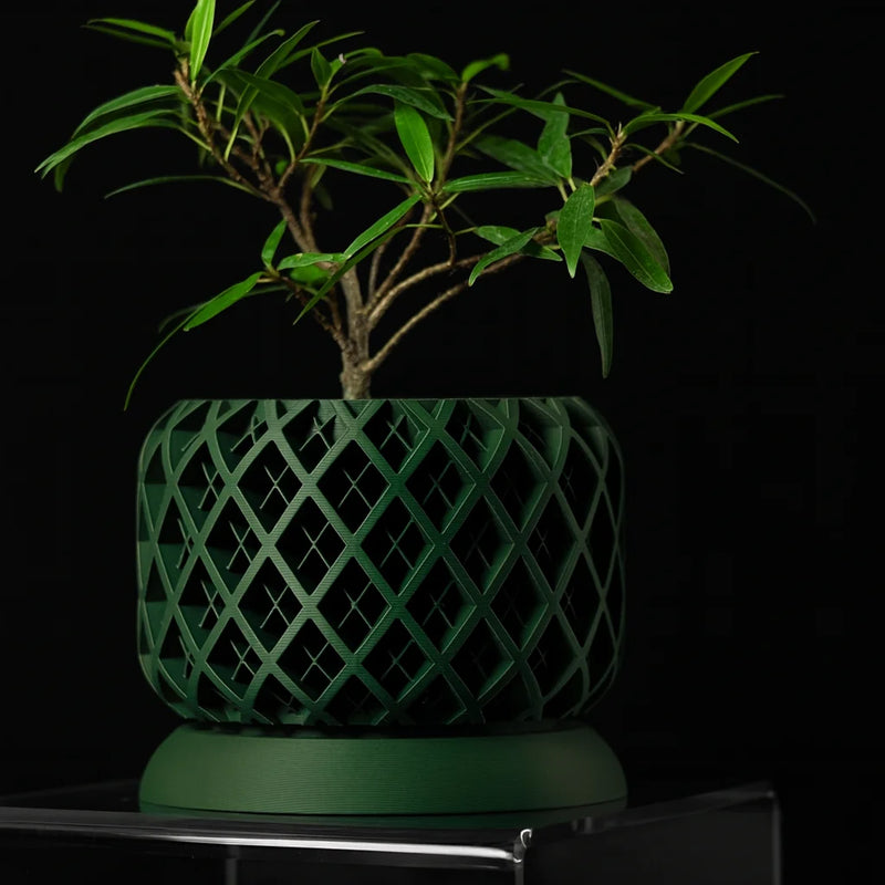 3D Printed Biodegradable Irregular Geometry Flower Pot - Textured Linear bonsai pots for Home Decoration & Gift (Eco-Friendly)