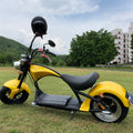 2000W Large Wheel Electric Scooter