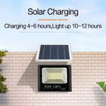 JVEE 30W 1000mAh Solar Flood Lights Remote Control Powered Spotlight Outdoor Waterproof IP67 Villa Street Lamp Adjustable Angle