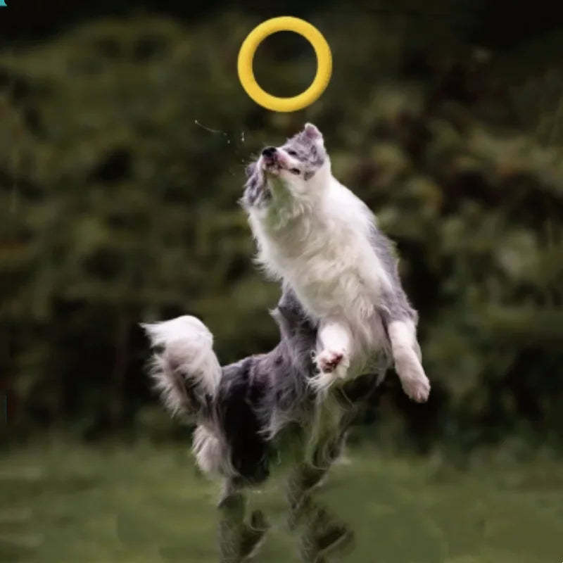 Waterproof Floating EVA Dog Training Flyer Interactive Tug Ring Chew-Resistant Flying Disc Multi-Functional Fitness Toy for Pets