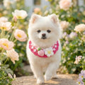 Stylish Adjustable Flower Pet Scarf Bib Sweet Decorative Knitted Cat Scarf Cozy Handmade Cat Woven Bib Spring Collection