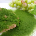 Garden Craft Building Model Material Artificial Moss Micro Landscape Decoration DIY Accessories Artificial Grass Powder