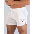 2025 Fitness Shorts Men's Running Fitness Training Quick drying Swimming Pants Beach Pants