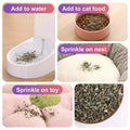 Pet's Cat Premium Catnip-56g Jar of High Potency Catnip,100% Natural & Chemical-Free,Safe for All Cat Ages
