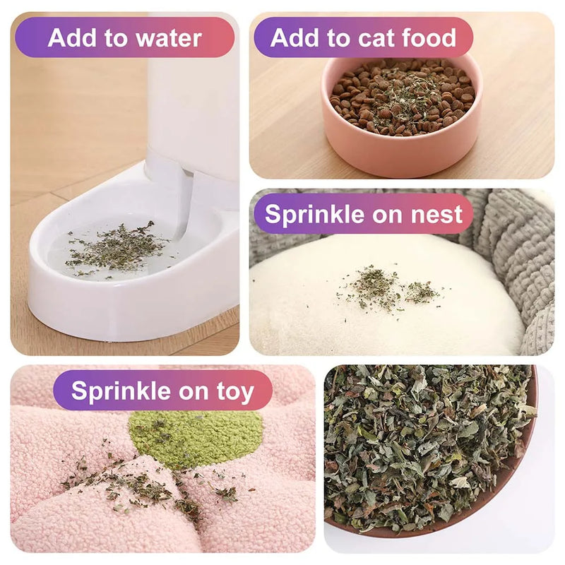 Pet's Cat Premium Catnip-56g Jar of High Potency Catnip,100% Natural & Chemical-Free,Safe for All Cat Ages