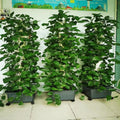 Garden Balcony Vertical Hydroponics Tower with Timer 70Holes Hydroponic System Vegetable Planter Soilless Culture Grow Kit