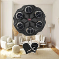 Kids Home Electric Wall Mounted Boxing Target Musical Pad | SAMAG