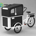 Electric Pedal 3 Wheels Cargo Bike with Rear Motor for Carrying Pets Electrical Bicycles