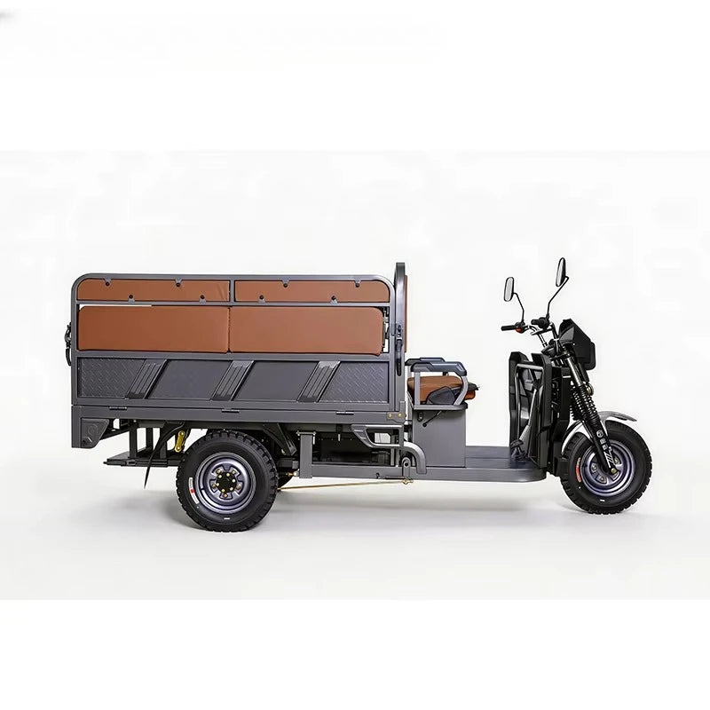Factory Adult Open Body Electric Trike Dual Use Electric Tricycle 3 Wheeler for Passenger and Cargo Transport