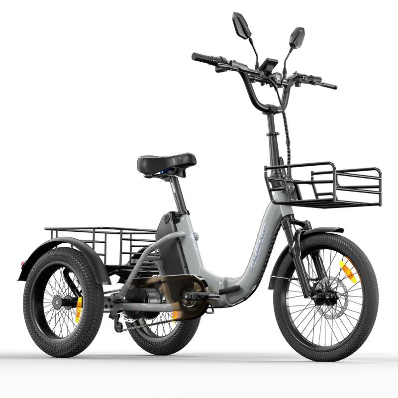 Electric Tricycle 750W Motor 48V 20AH Remover lithium Battery Foldable 3 Wheel Electric Bike 16 Inch Fat Tire 100km Ebike