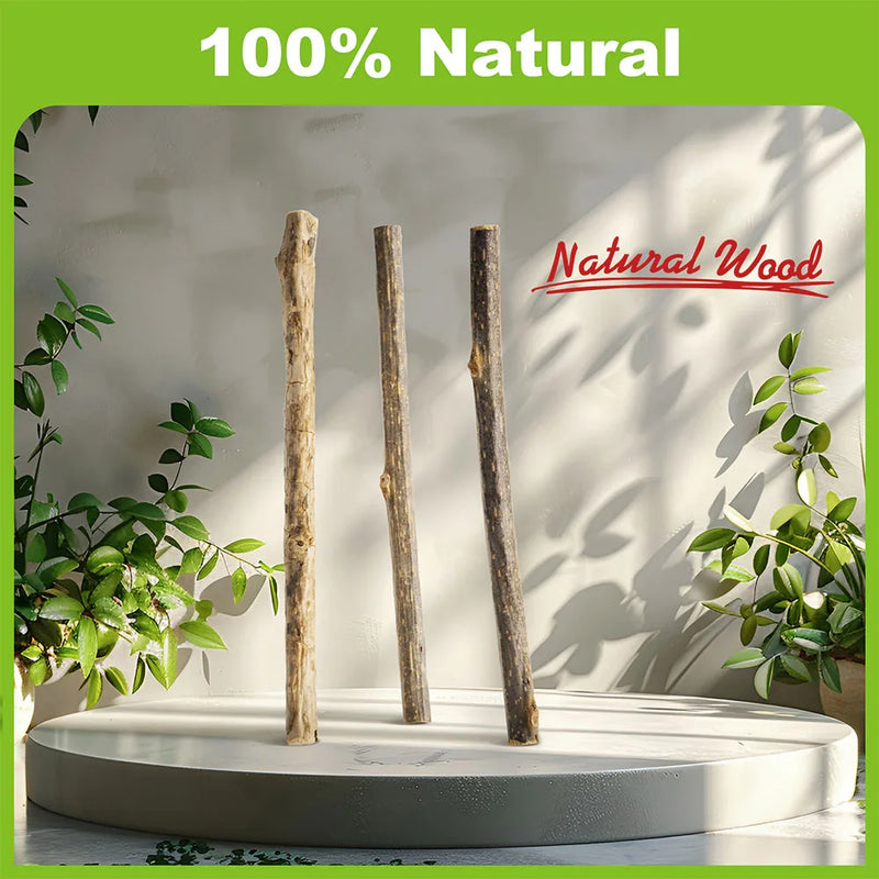 Silvervine Sticks for Cats, 10PCS Kitten Toys Catnip Toys Kitty Chew Toys Wooden Stick Kitten Teething Toys Suitable for Cats
