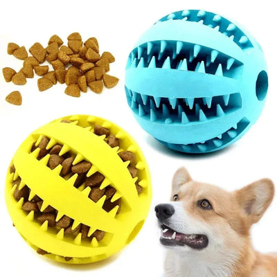 Natural Rubber Pet Dog Toys Chew Tooth Cleaning Treat | SAMAG