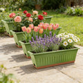 Plant Planter 4 Pieces Rectangle Decorative Flowerpot Large Flower Planter for Lettuce Potatoes Strawberries Cherry Tomatoes