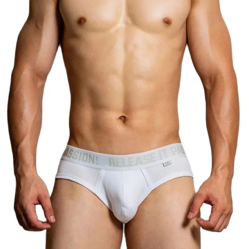 Male Underwear Gay Cuecas Masculinas Solid Sexy Men's Briefs Low-Rise Ropa Interior Hombre Underwear Men Sissy Slip Homme Sport