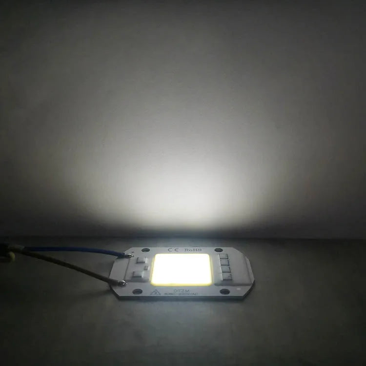 10W 20W 30W 50W AC220V  LED COB chip Engine Smart IC Chips For DIY LED Floodlight Spotlight Lamp