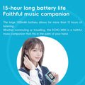 SnowSky/FiiO Echo Mini HiFi Bluetooth MP3 Pure Music Player, 15Hours Playback, 3.5mm/4.4mm Headphones Output