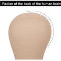Alileader Canvas Block Poly Head Wig Making Head Weft/Wig Display Styling Mannequin Head Manikin Head Dryer20.5" 21"22.5"23inch