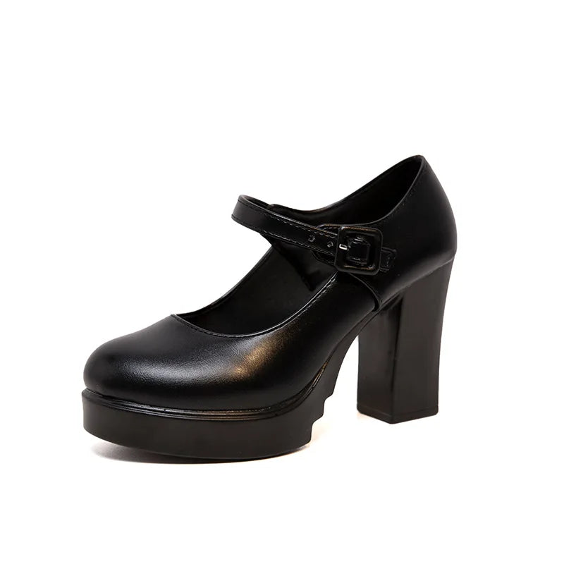 Women Mary Jane Shoes Trendy Comfortable Women's Shoes 2024 New Thick Heel Platform Women's High Heels