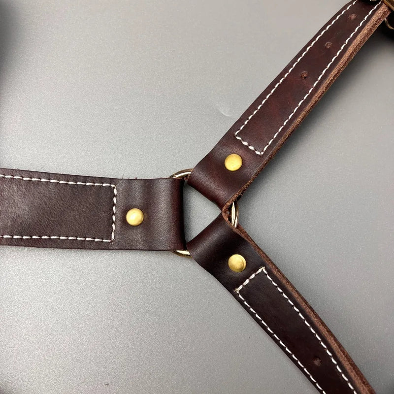Genuine Leather Y-Shaped Dog Harness  Adjustable Neck  Chest Pull-Proof, Durable for Large Dogs Handcrafted Full Grain Leather