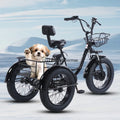 20-Inch spot pedal electric power fat tire tricycle Russia hot-selling snow rough tire leisure and entertainment