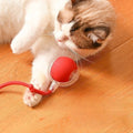 Automatic Interactive Ball Cat Toys  Rolling Ball Rolling Ball Electric Dog and Cat Training to Imitate Rat Rechargeable Product