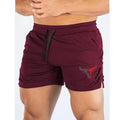 2025 Fitness Shorts Men's Running Fitness Training Quick drying Swimming Pants Beach Pants