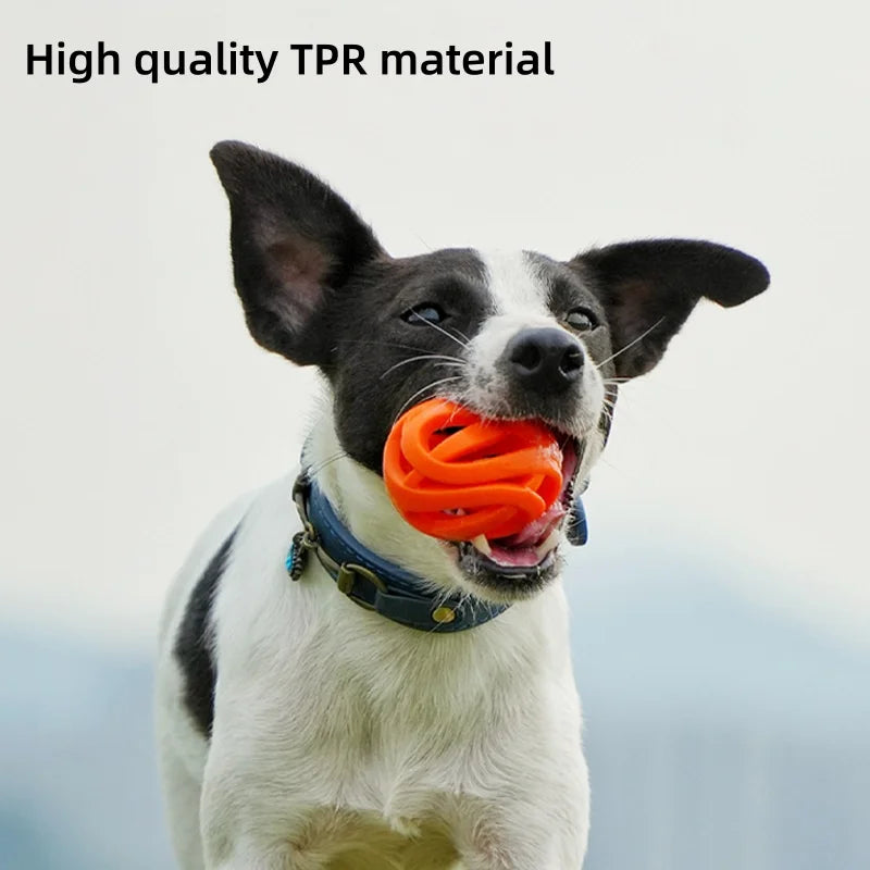 Durable Hollow Elastic Dog Chew Ball Interactive Teeth Cleaning Molar Toy Fetch Ball for Small to Medium Sized Dogs
